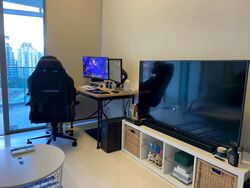 Lincoln Suites (D11), Condominium #498285121